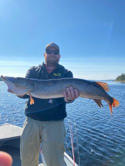 Person standing on a boat holding a large fish with blue sky and water in the background.