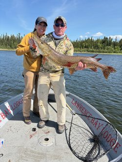 Two people on a boat at Lawrence Bay Lodge hold a large fish with a net on the deck and trees in the background.