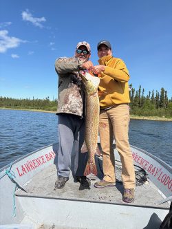 Two people stand on a boat holding a large fish, with a lake and trees in the background under a clear blue sky.