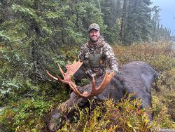 A hunter in camouflage kneels beside a large moose with antlers in a forested area.