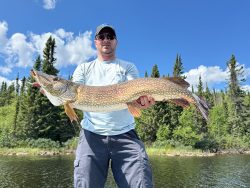 Person standing outdoors holding a large fish with trees and a blue sky in the background.