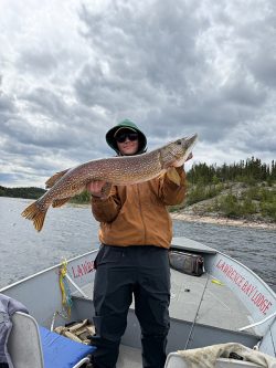 Person standing on a boat holding a large fish with cloudy skies and forested shoreline in the background.