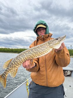 Person in a brown jacket holding a large fish on a boat with cloudy skies and trees in the background.