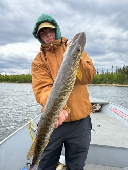 Person in a brown jacket holding a large fish on a boat in a lake, with trees and cloudy sky in the background.