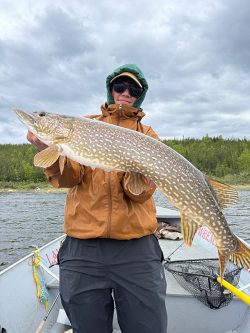 Person in a brown jacket and sunglasses holding a large fish on a boat with water and trees in the background.
