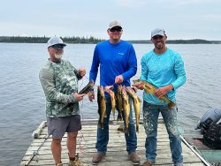 Three men on a dock by a lake holding several fish they have caught, with trees visible in the background.