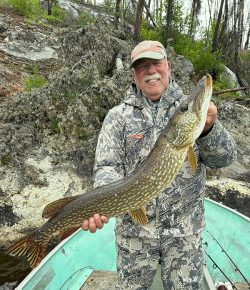 Man wearing camouflage holds a large fish while standing in a boat near a rocky, wooded shoreline.