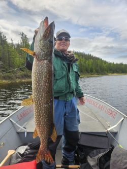 Person standing on a boat holding a large fish with one arm, surrounded by a lake and forested landscape.