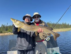 Two men on a boat hold a large northern pike fish with a forested shoreline and blue sky in the background.