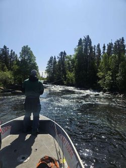 A person stands at the bow of a boat fishing on a river surrounded by trees under a clear sky.