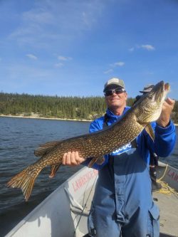 Person in blue jacket holding a large fish on a boat, with a lake and forested shoreline in the background.
