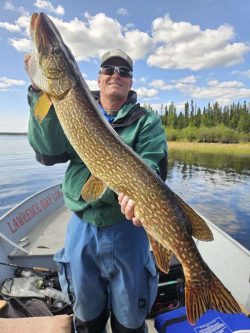 Person standing in a boat holding a large fish, with water and trees visible in the background under a partly cloudy sky.