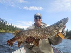 Person standing on a boat holds a large fish with a patterned body near a river and forested shoreline.