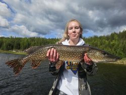 Person holding a large northern pike fish outdoors near a forested lake under a cloudy sky.
