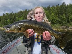 Person standing on a boat holding a large fish with forest and water in the background.