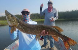 Two people on a boat, one holding a large northern pike fish, with trees and water in the background.