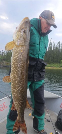 A person in fishing gear holds a large northern pike on a boat with forest and water in the background.