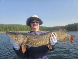 Person wearing sunglasses and a hat holds a large fish on a boat with a lake and forested shoreline in the background.