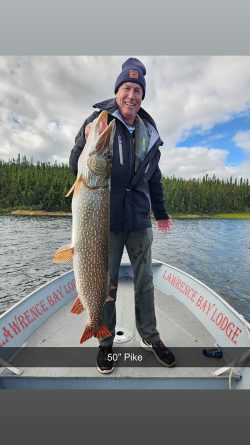 Person standing on a boat holding a large pike fish, with trees and water in the background. Text reads “50’’ Pike.”.