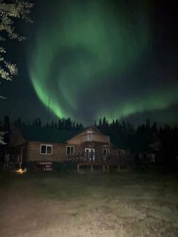 Northern lights in green hues illuminate the night sky above a wooden lodge surrounded by trees.