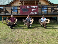 Three people kneel behind moose trophy heads on grass in front of a building with a "Lawrence Bay Lodge" sign.